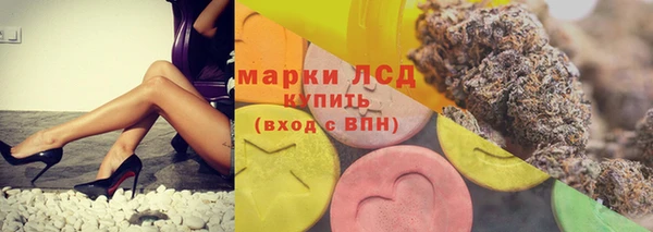 твердый Арсеньев