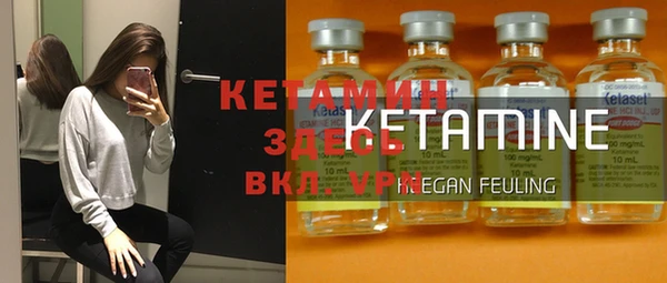 твердый Арсеньев