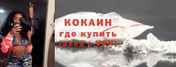 твердый Арсеньев