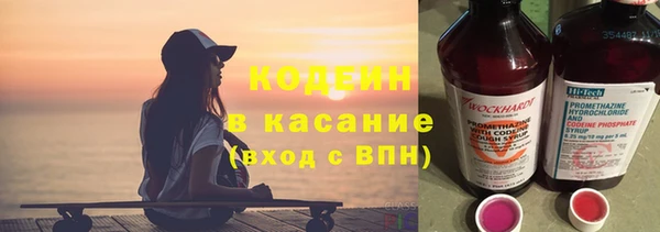 твердый Арсеньев